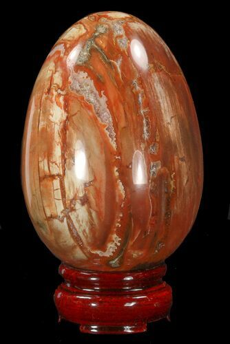 Colorful Petrified Wood Egg #41937